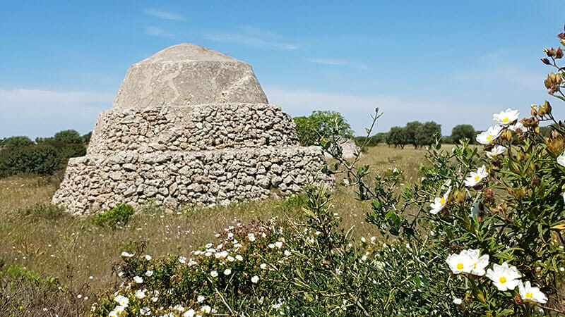 Genial Zeichnen - Malferien Apulien - Zeichenkurs von Maja Oschmann - Trullo Feld Campagna - copyright Gianni Di Carlo