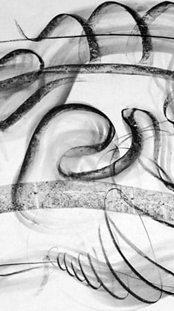 Genial Zeichnen - Musik und Zeichnen - Workshop 2024 - Zeichenkurs mit Maja-Oschmann - Elipsen flattern - Copyright Maja Oschmann