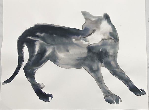 Genial Zeichnen - Tiere - Katzen mit Tusche und Japanpinsel zeichnen - Copyright Maja Oschmann